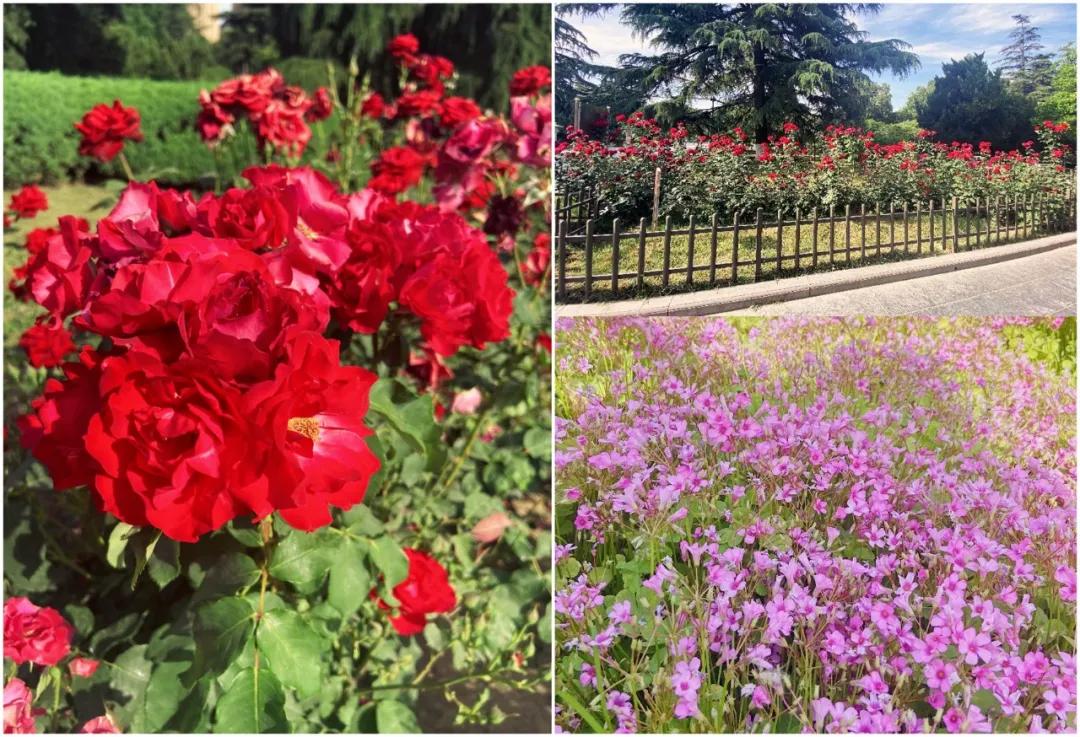 西安室内游乐场排行榜第一,西安最好玩的游乐场推荐