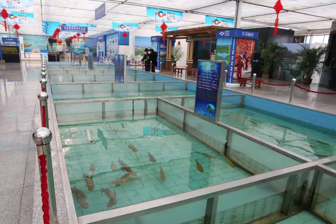 玩转第十八届长春农博会,2019长春冬季农博会票价