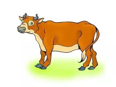 更年期功血止血食疗,更年期女人补铁最好的方法