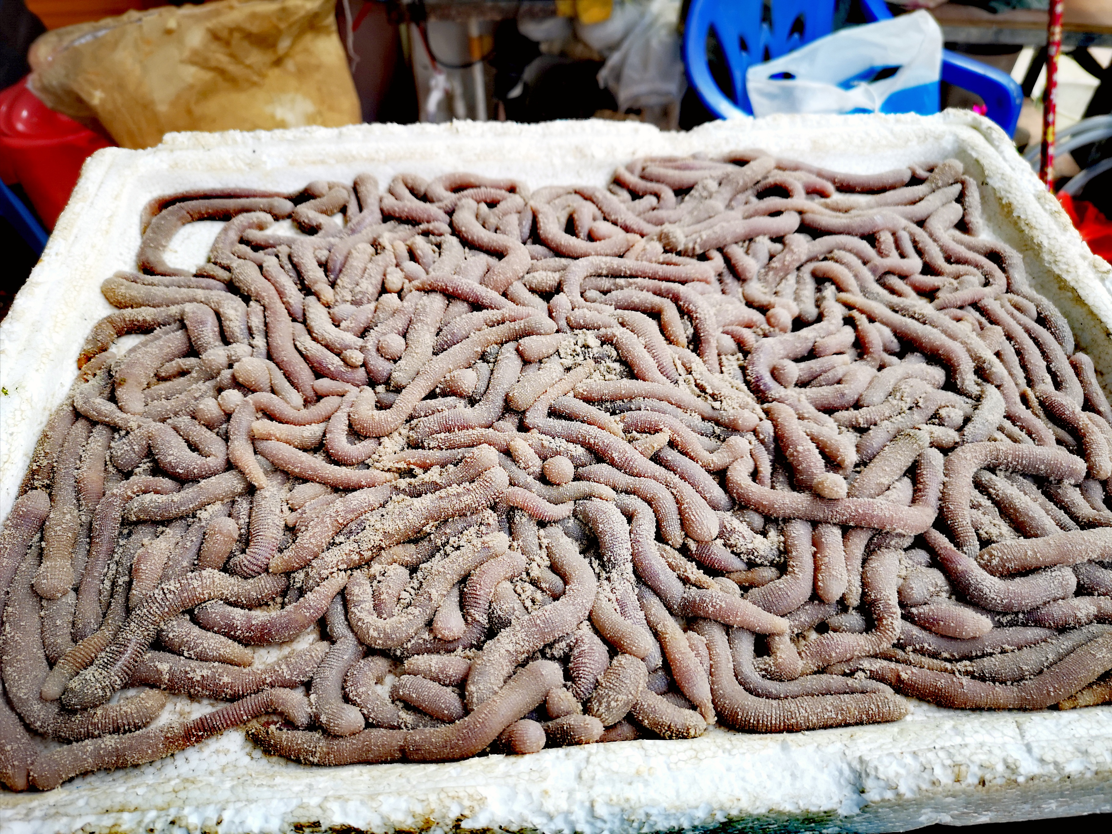 雨天东兴万尾金滩游,冬季东兴万尾金滩