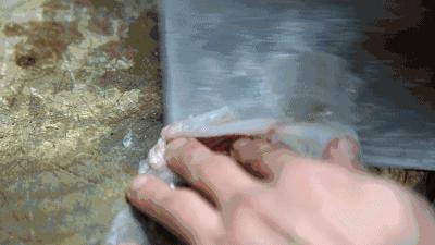 中国顶级鱼类大全你认识多少,十大淡水掠食性鱼类排名