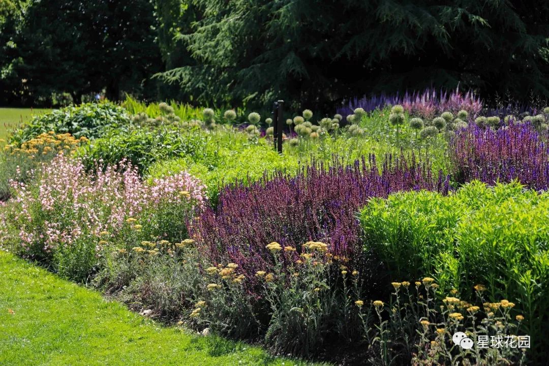 二木带你游花园|邱园（kewgarden）离我们到底有多远？