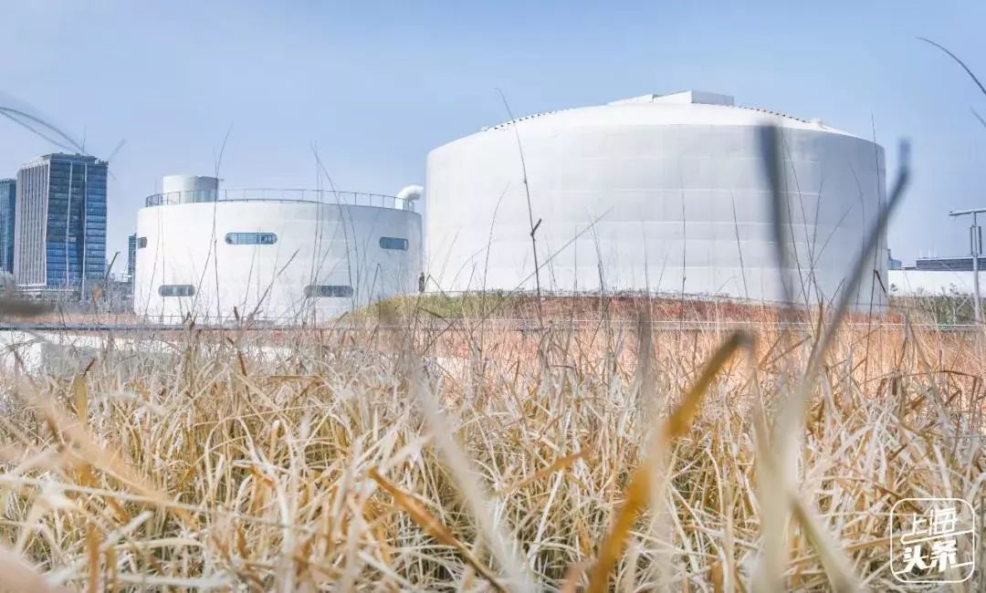 上海宋城免费景点,上海一日游攻略必去景点免费