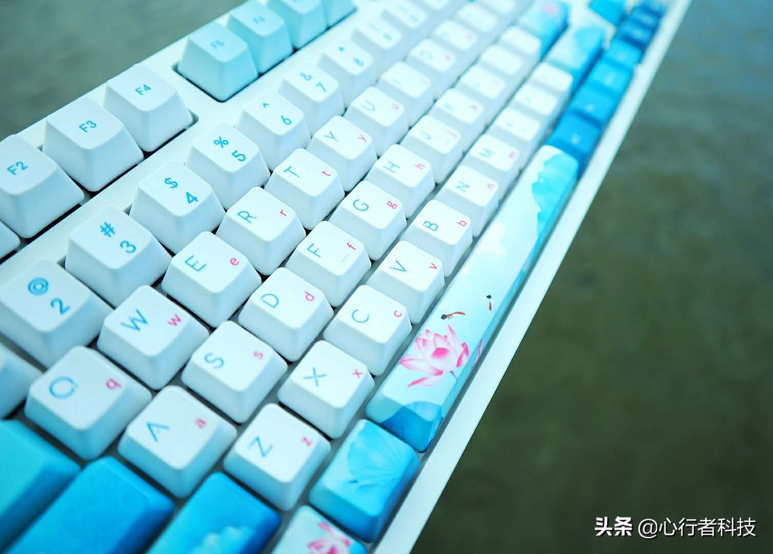 蜻蜓点水立指尖——黑爵蜻蜓键茶轴体验