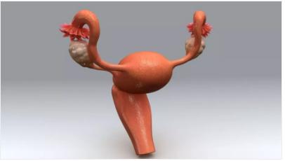 体检发现这十种病不要花冤枉钱,体检查出9种病医生说基本不用治