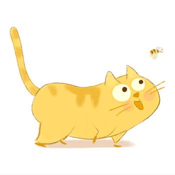 山海闽西南|乐吃、乐游、乐开怀！带上这份攻略，玩转云霄白石村~