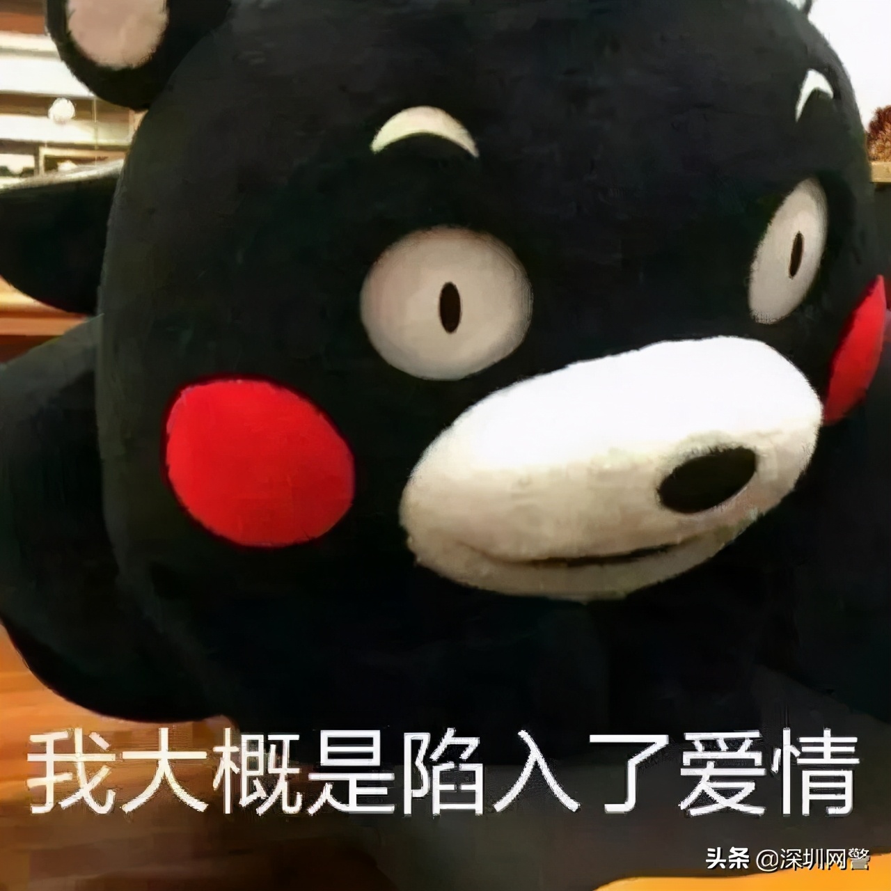 熟人介绍的对象不靠谱,熟人介绍的相亲对象不联系