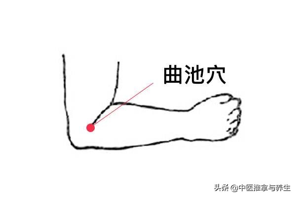 解决湿气重吃什么食物,体内湿气重除湿的好方法