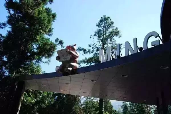 妖怪做见证，用“鬼”点子无中生有的创意乡村