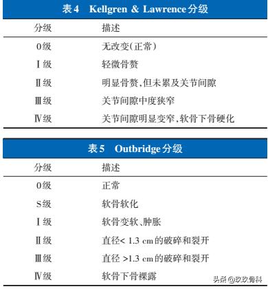 收藏丨骨关节炎诊疗指南