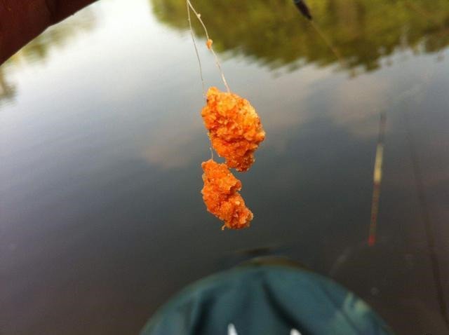 钓鱼渔获总是不如别人怎么回事，总结了六招给大家