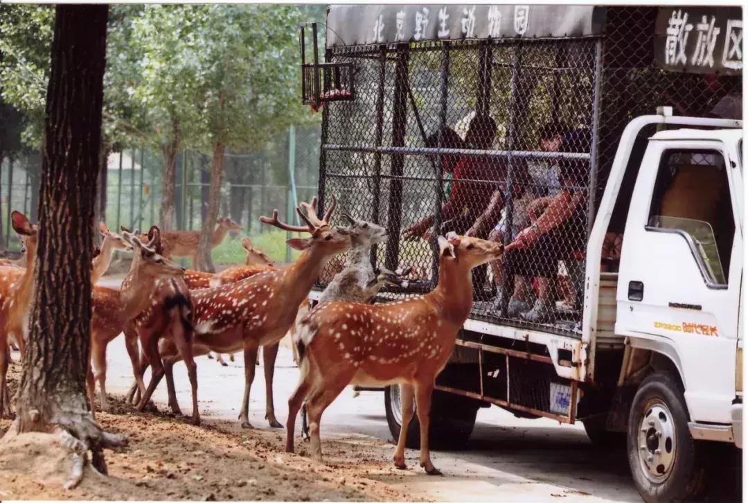 西安大唐芙蓉园免费门票预约平台,西安太平森林公园免费门票预约