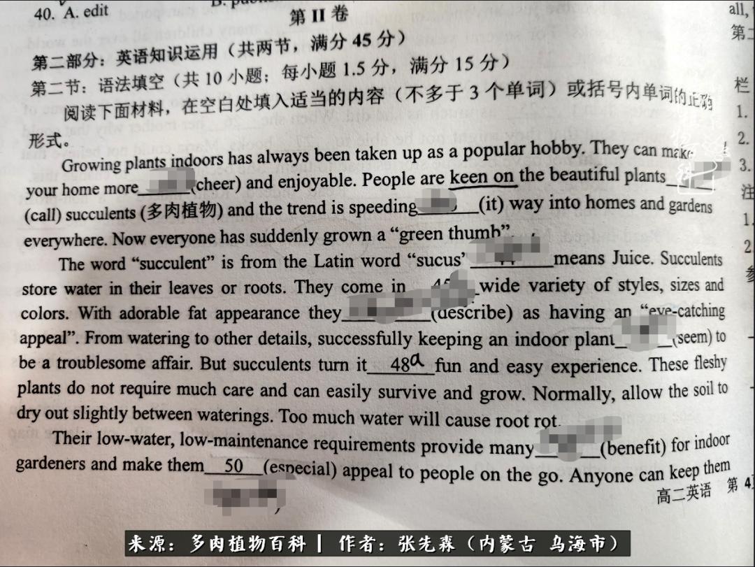 吸取教训，不断探索，英语老师的多肉碎碎念