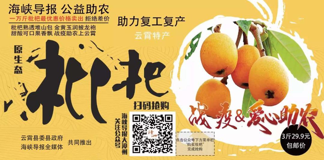 【海峡导报·战疫助农】原生态云霄枇杷公益销售爆棚进行中！加入，就是爱心人士