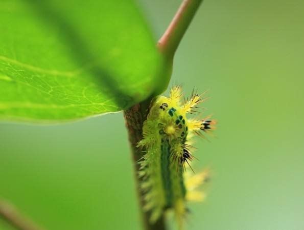 带你寻找记忆中的童年,我的童年既是怎样的又是怎样的