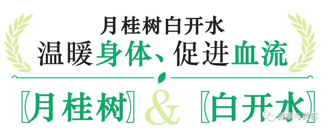 傅园慧喝了什么水,傅园慧同款当归汤