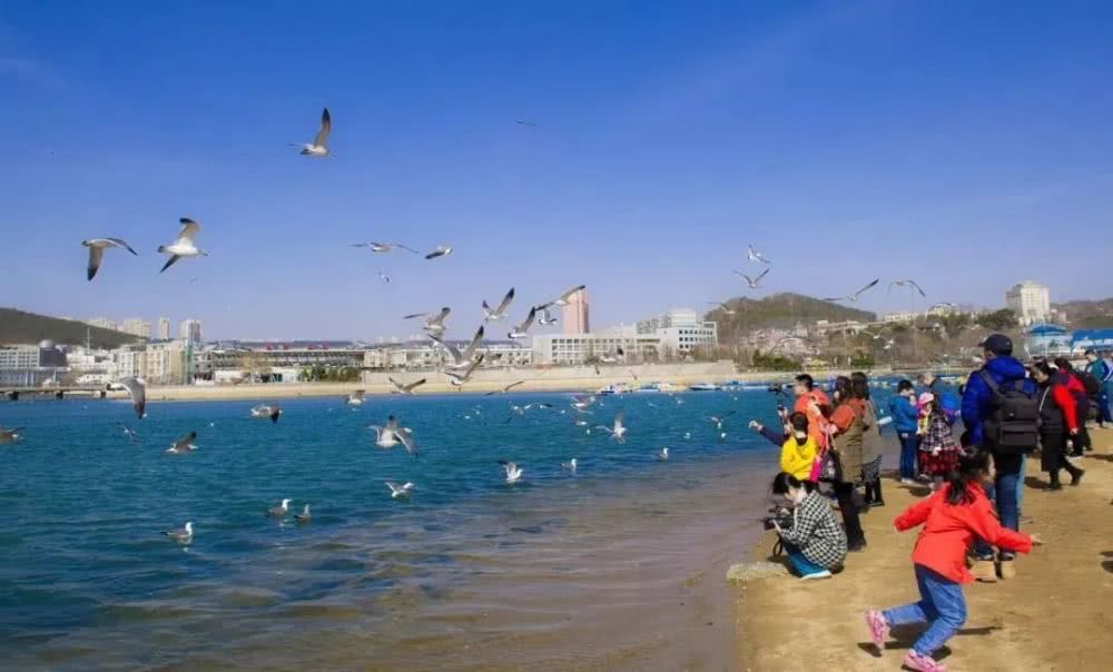 大连市医务人员免费的景点有哪些,大连70岁老人免费景区