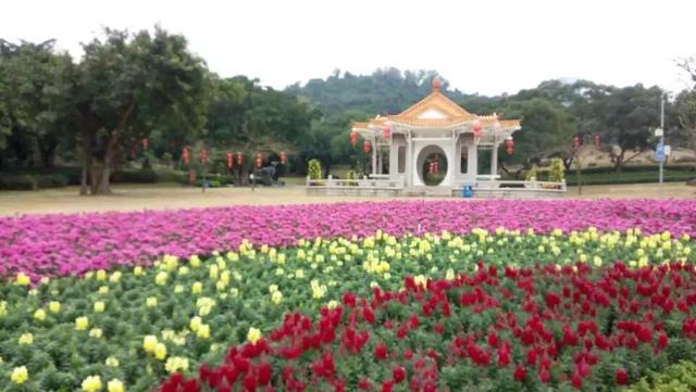 你眼中的珠海城市面貌,怎么评价珠海这个城市