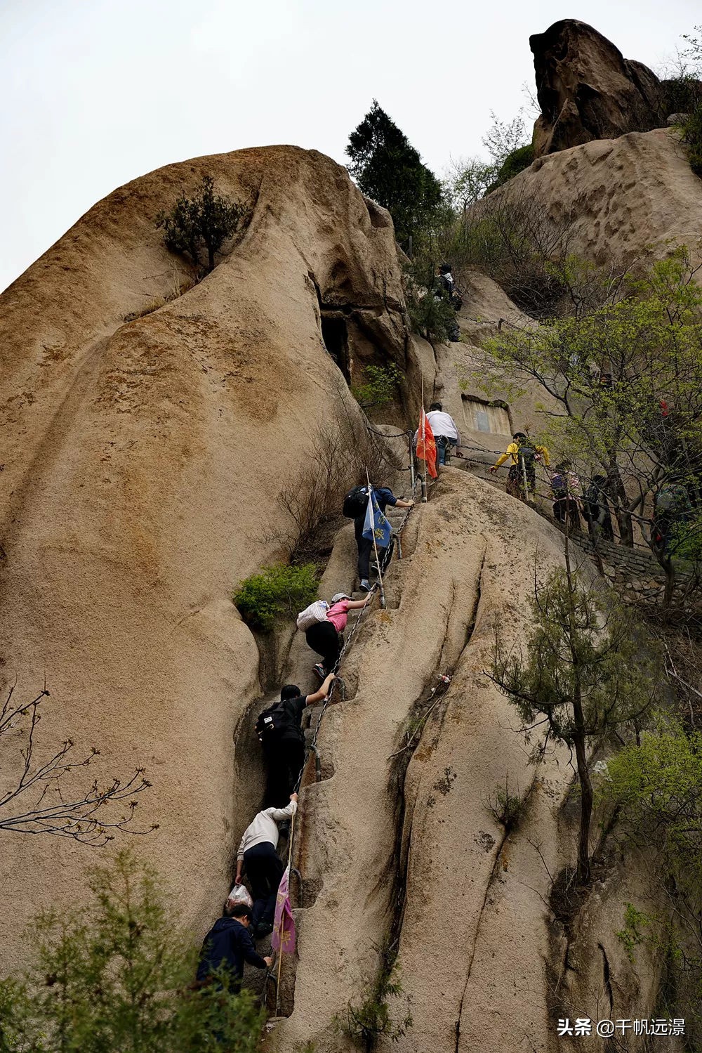 阳春四月迎来春,阳春四月槐花香