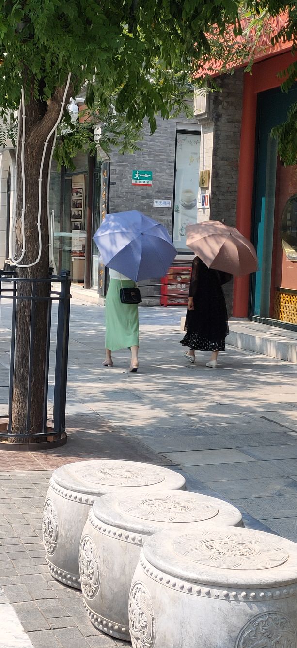 散文女人要学会改变,散文女人花