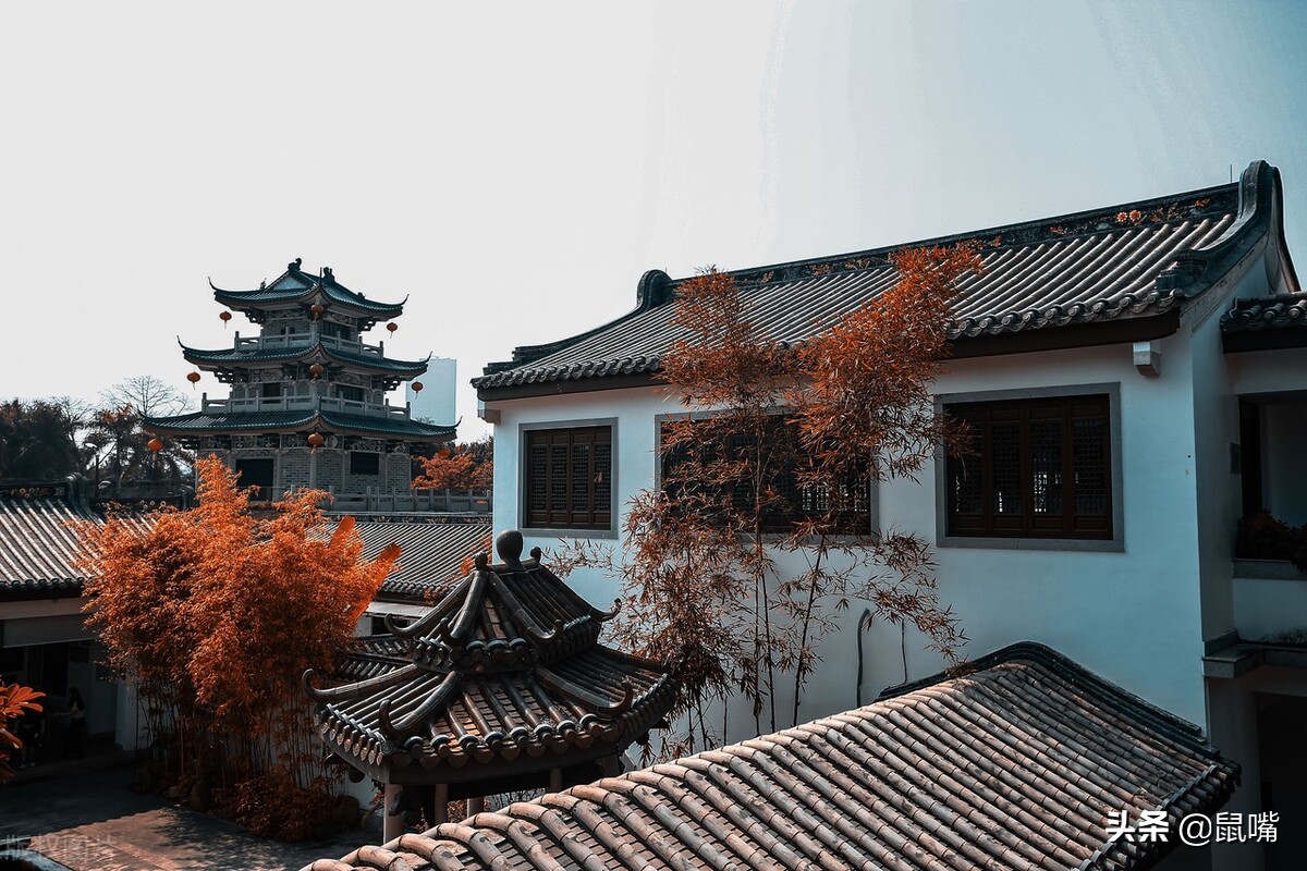 史记汉高祖本纪译文,史记译文全文