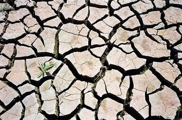 夏季告别油腻肌肤,夏日肌肤清爽指南