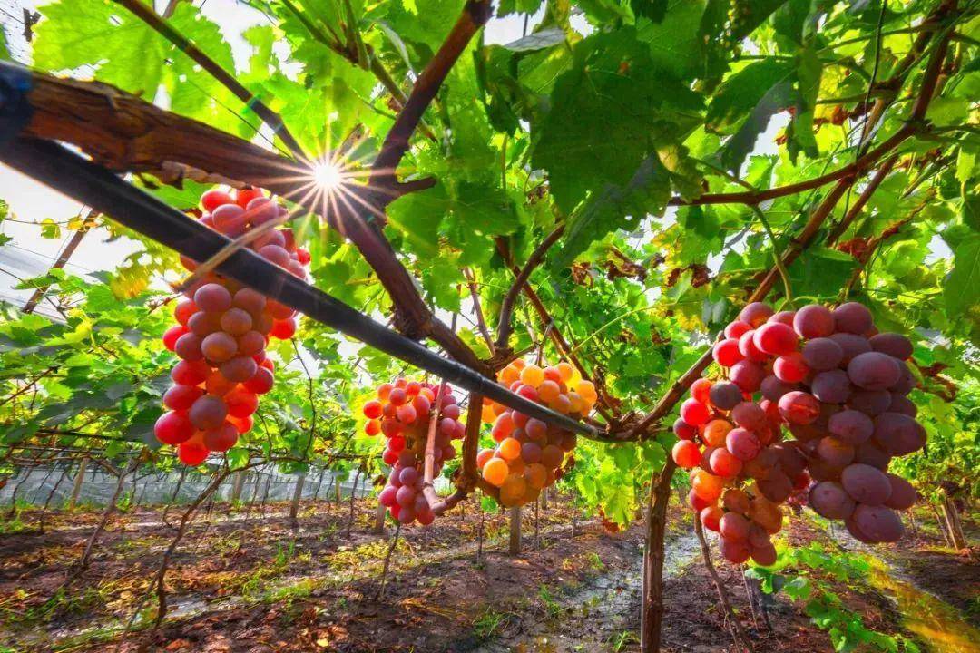 沿着高速看美丽中国,沿着高速看中国丽江