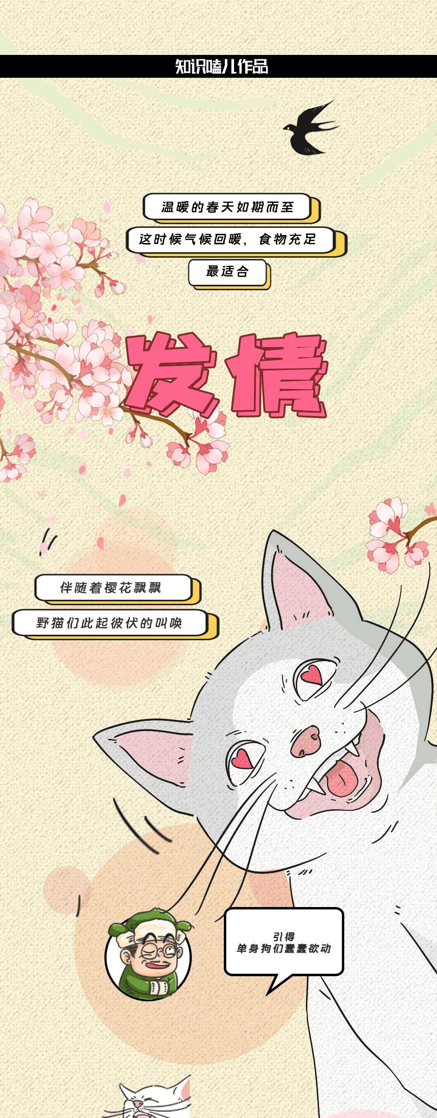 论啪啪啪,人类可比不上它们……