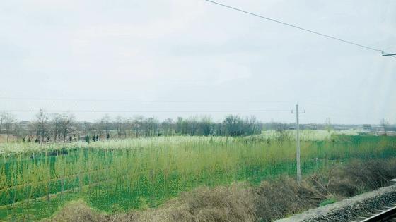 蒲城县好吃的地方推荐晚上,蒲城吃的最多的地方