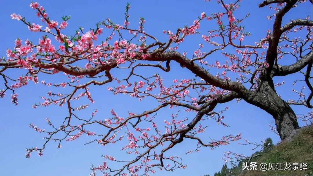 美成仙境,美成了仙境