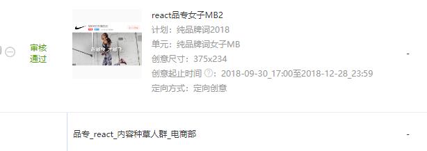 nike案例分析,nike创业故事