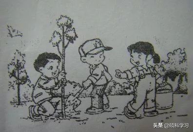 一二年级看图写话训练教程视频,一二年级看图写话训练教程