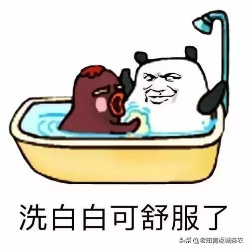 被黑又洗白的明星,没有一点黑历史的明星