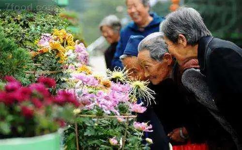 重阳节你和家人长辈的感人往事,关于重阳节的那点事儿