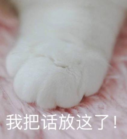 今年维密秀还精彩吗,今年维密