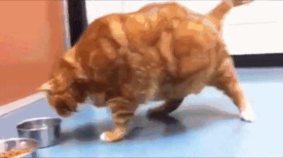 跑鞋硬弹脚感,跑鞋黑科技鞋名