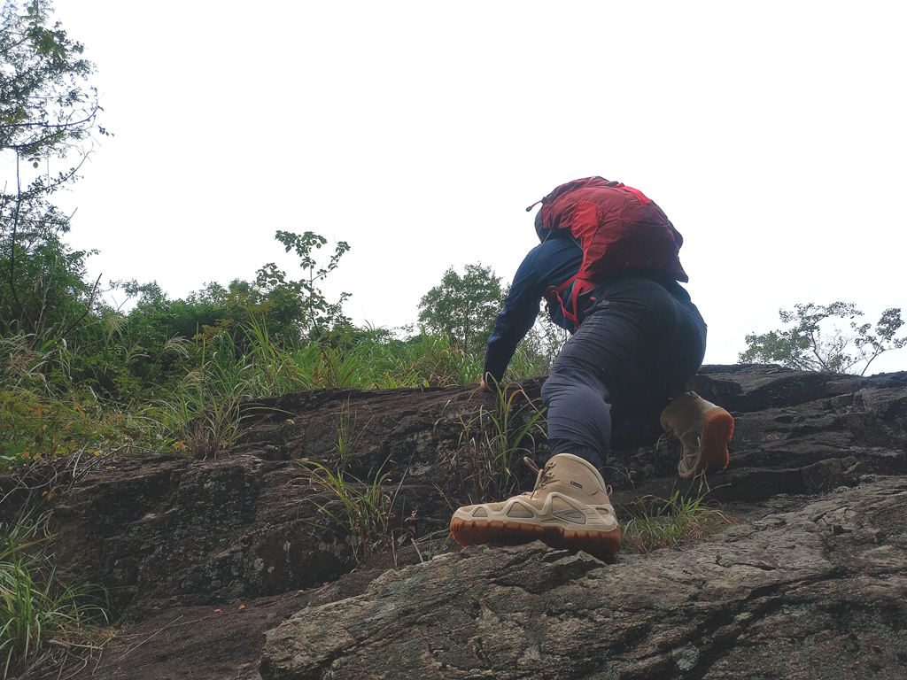 双十一买买买后的我,双十一开始剁手了吗