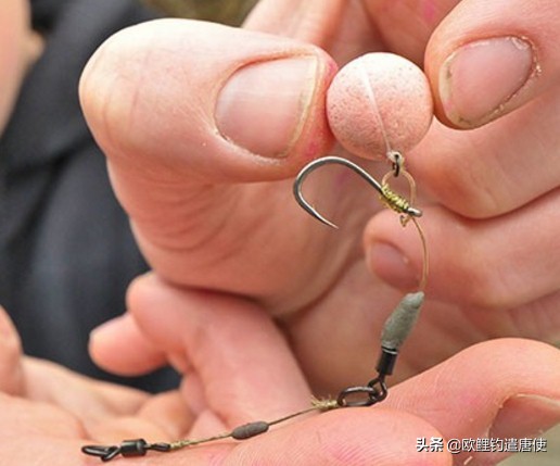 欧鲤钓钓组篇,欧鲤钓组和飞德钓组