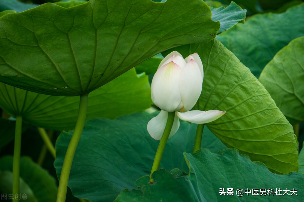 浑身无力腰膝酸软是阳虚的表现吗,脾阳虚引起腰膝酸冷