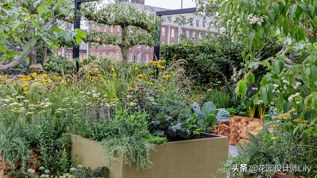 2023年切尔西花展各个花园的介绍,切尔西花展最佳花园