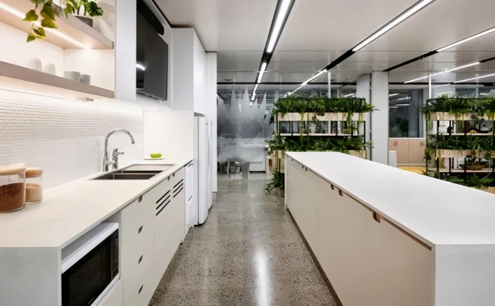 办公室驱赶老鼠最有效方法,办公室去除老鼠最好的方法