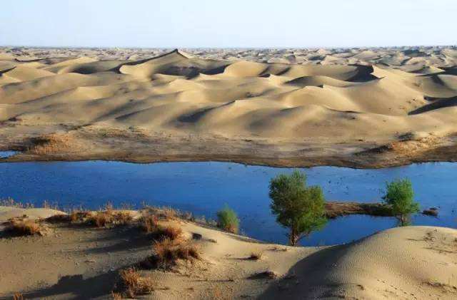 亲身经历——罗布泊里.最恐怖致命的三种存在