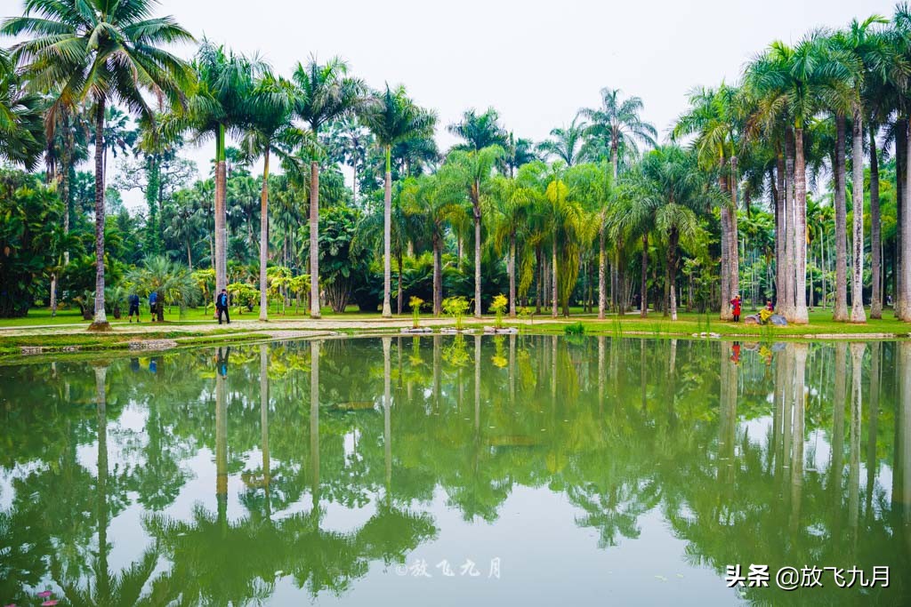 广州到西双版纳自驾沿途景区,云南西双版纳游必去十大景点