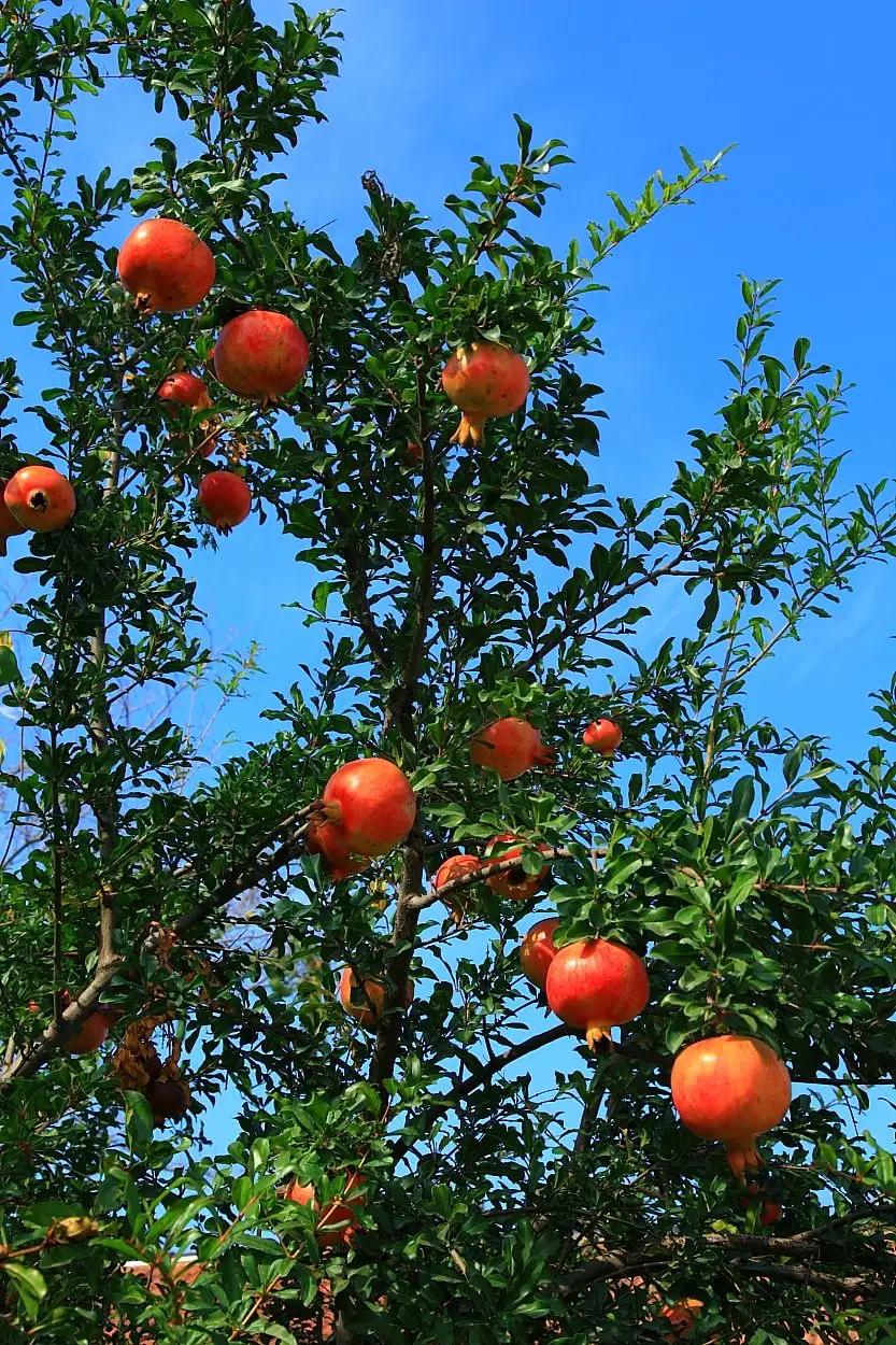 学海无涯乐作舟作文,学海无涯乐作舟