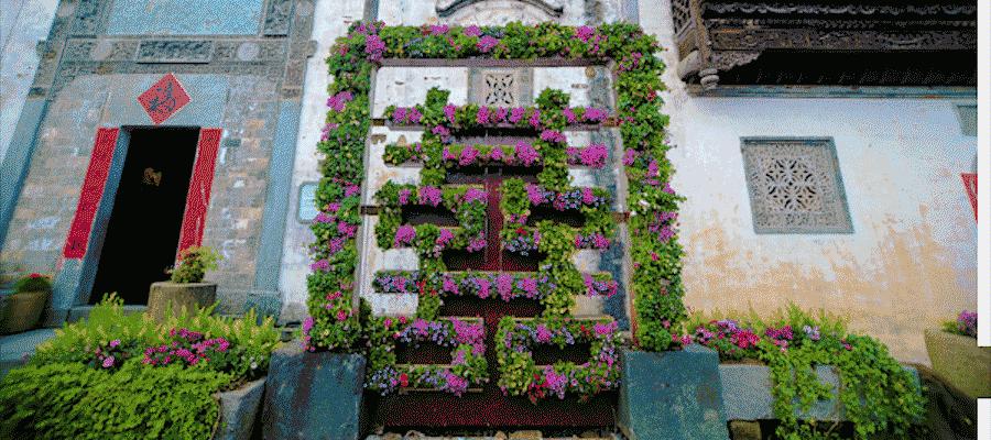 第五届中国篁岭晒秋（美食）节开幕，用美味欢庆丰收