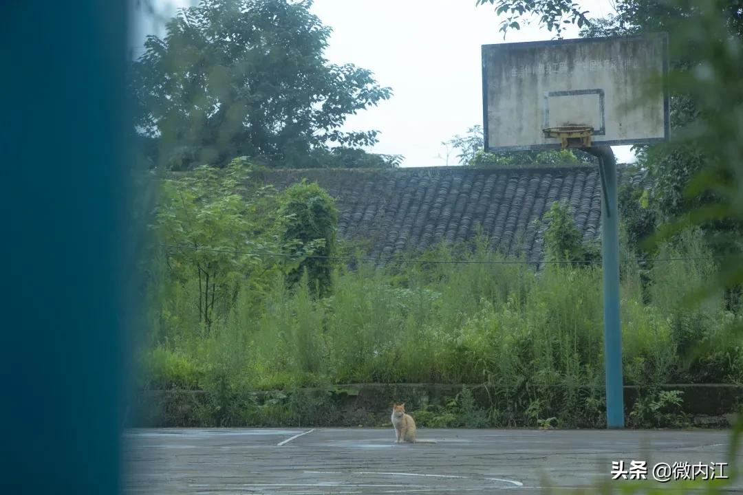 你好四川完整版,你好四川录音