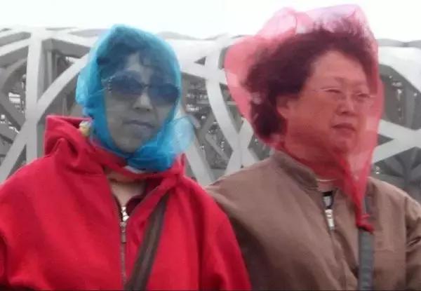 被柳絮困扰,被柳絮搞到崩溃是什么体验