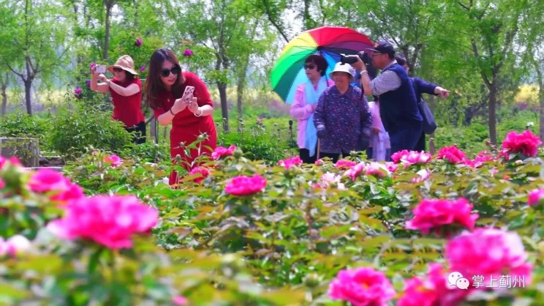 天津哪个区比较适合居住生活,天津最适合居住是哪个区