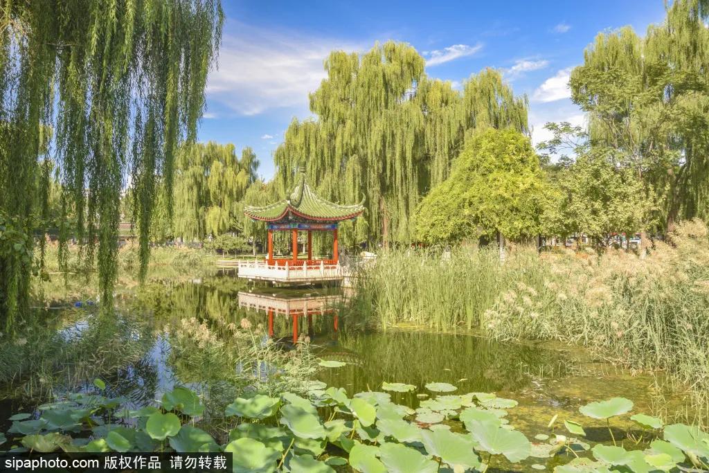 绿皮火车公园打卡景点,各种各样的免费公园