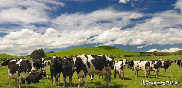 新西兰靠什么变成发达国家,新西兰是如何成为发达国家